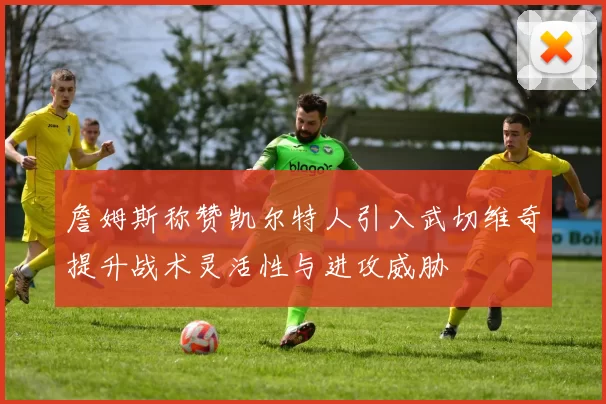 詹姆斯称赞凯尔特人引入武切维奇提升战术灵活性与进攻威胁